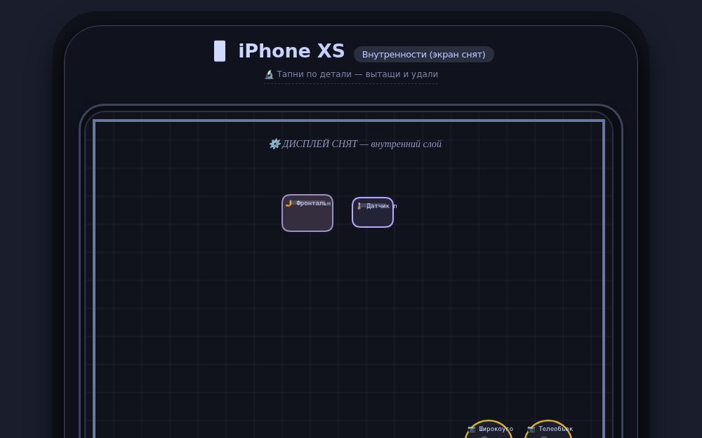 iPhone XS — анатомия без экрана